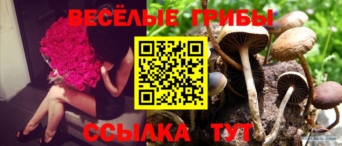 Галлюциногенные грибы мицелий Анапа